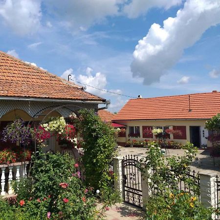 La Mosu-N Retezat Guest House Nucsoara  Екстериор снимка