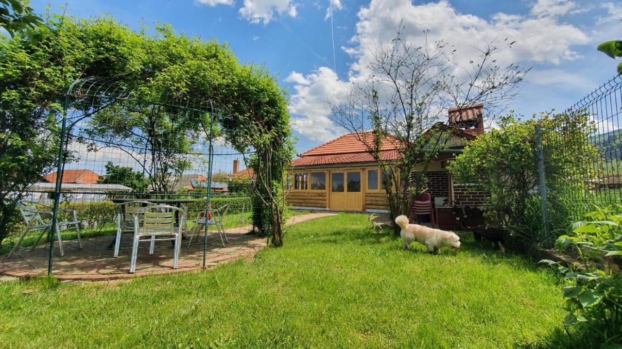 La Mosu-N Retezat Guest House Nucsoara  Екстериор снимка