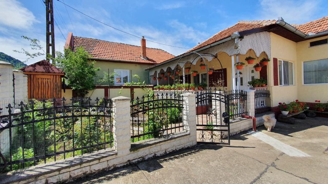 La Mosu-N Retezat Guest House Nucsoara  Екстериор снимка