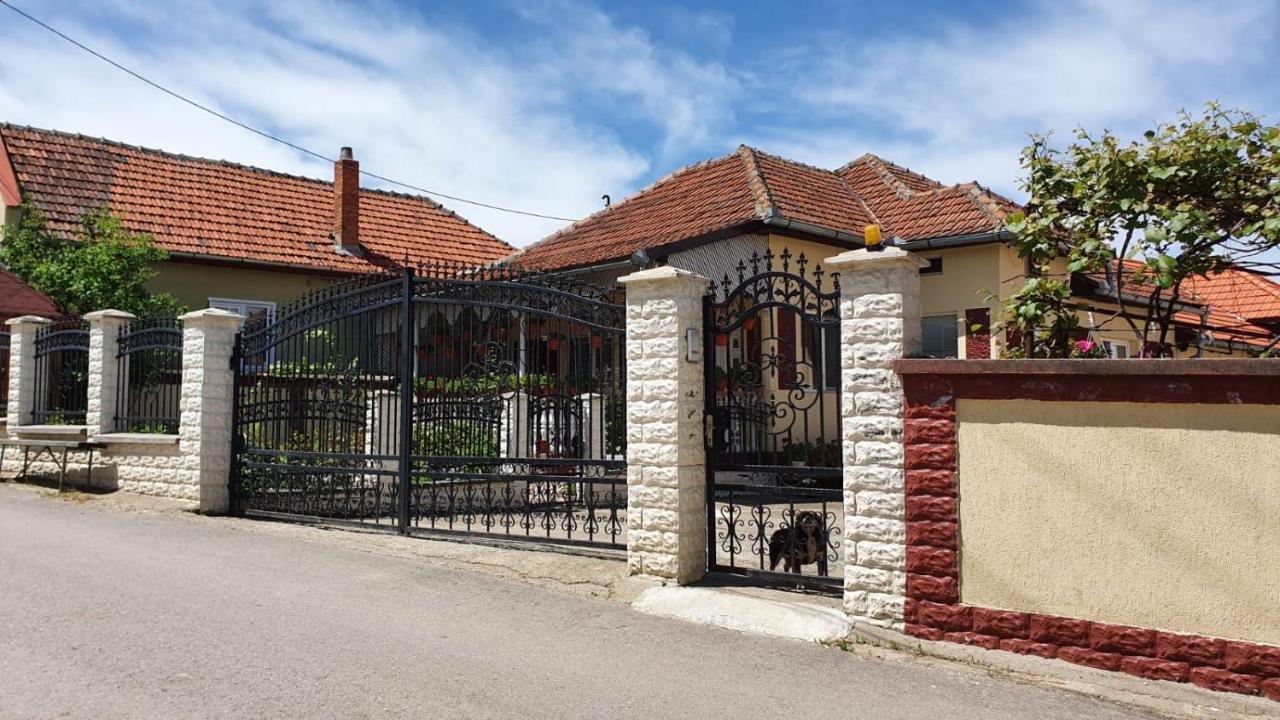 La Mosu-N Retezat Guest House Nucsoara  Екстериор снимка