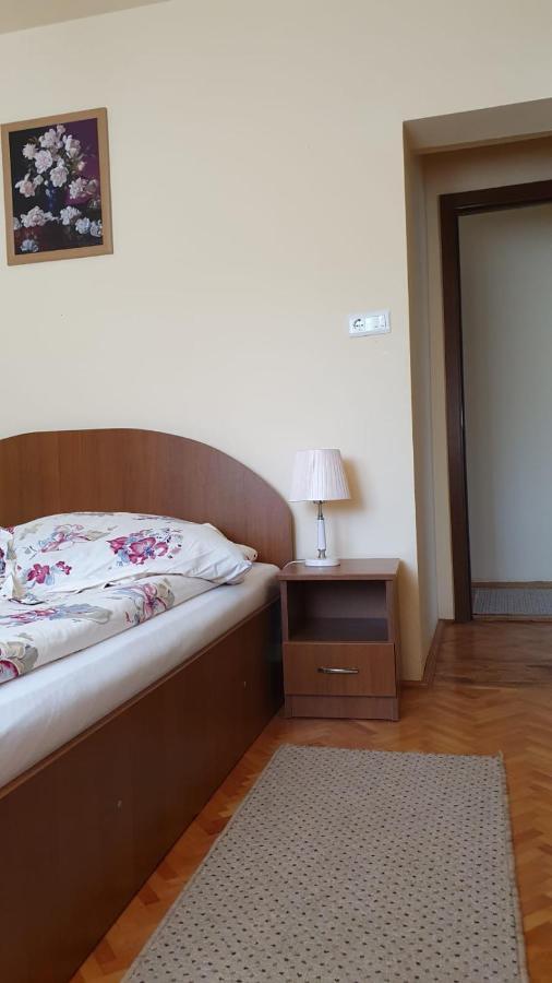 La Mosu-N Retezat Guest House Nucsoara  Екстериор снимка