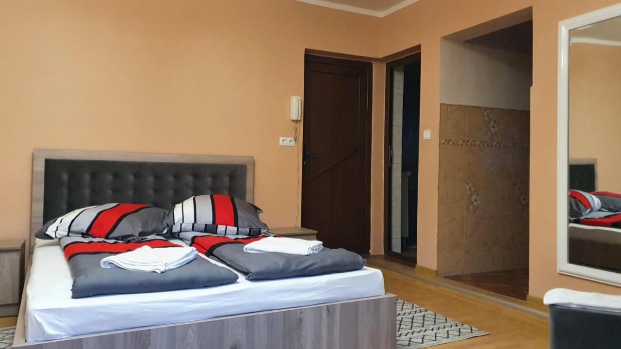 La Mosu-N Retezat Guest House Nucsoara  Екстериор снимка