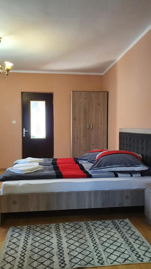 La Mosu-N Retezat Guest House Nucsoara  Екстериор снимка