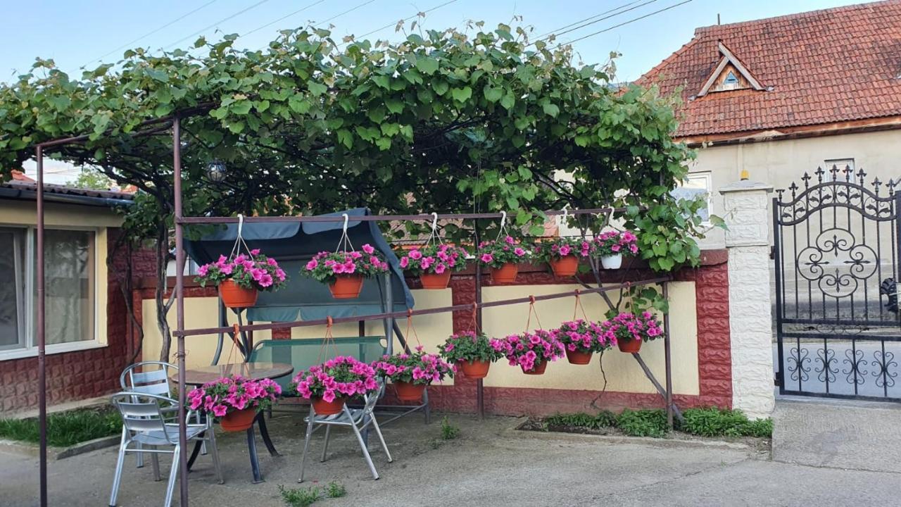 La Mosu-N Retezat Guest House Nucsoara  Екстериор снимка