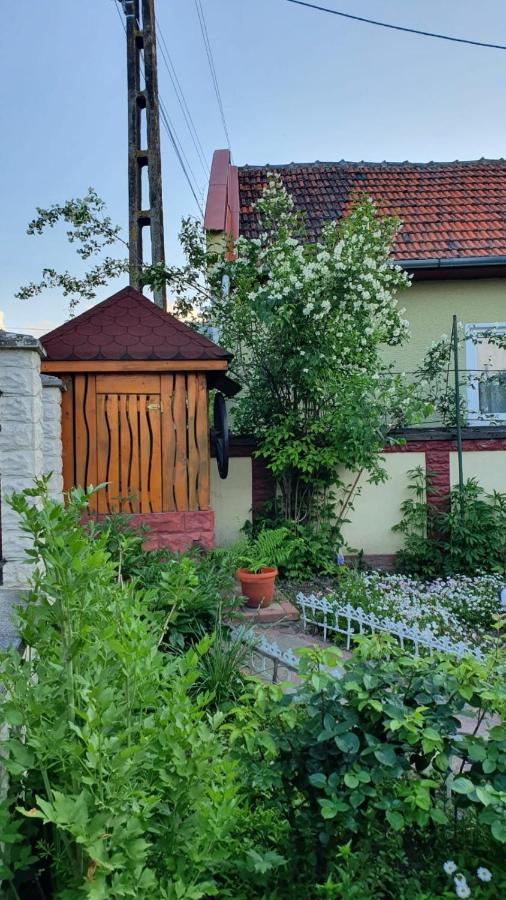 La Mosu-N Retezat Guest House Nucsoara  Екстериор снимка