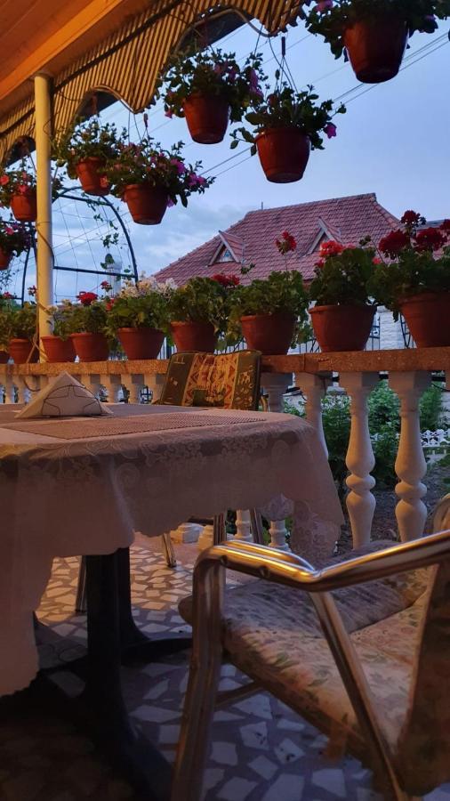 La Mosu-N Retezat Guest House Nucsoara  Екстериор снимка