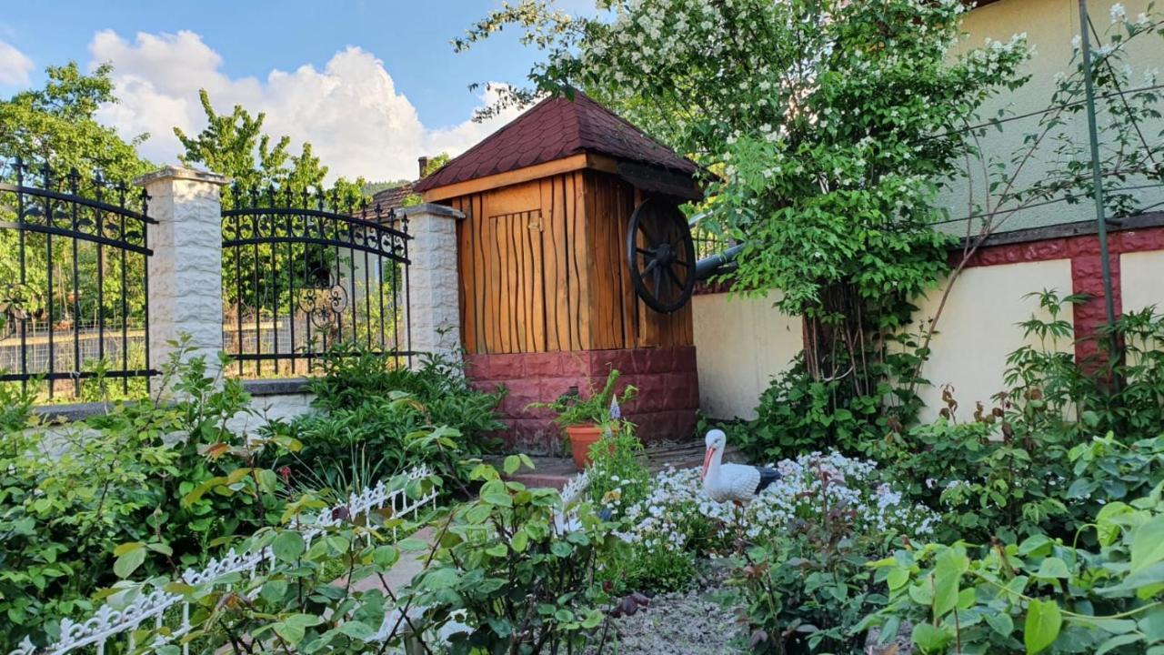 La Mosu-N Retezat Guest House Nucsoara  Екстериор снимка