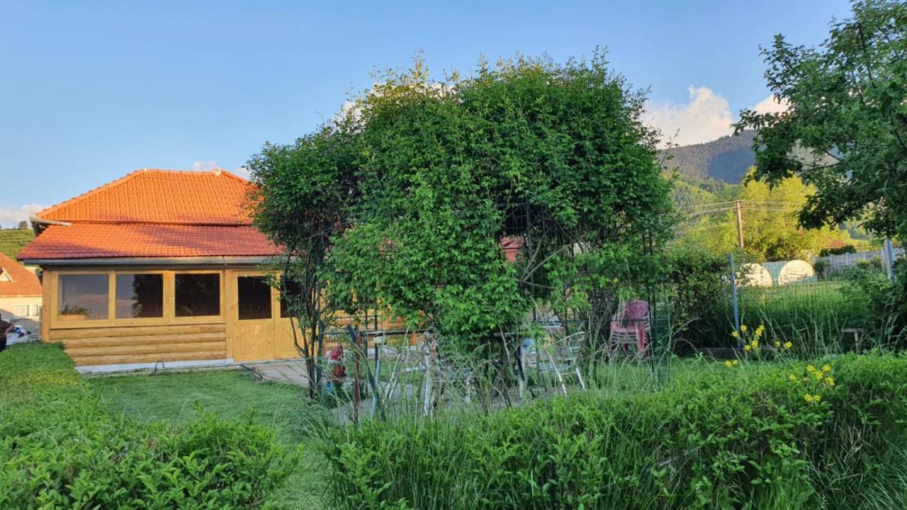 La Mosu-N Retezat Guest House Nucsoara  Екстериор снимка