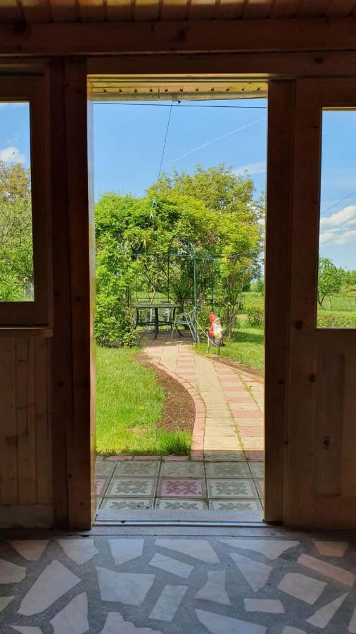 La Mosu-N Retezat Guest House Nucsoara  Екстериор снимка