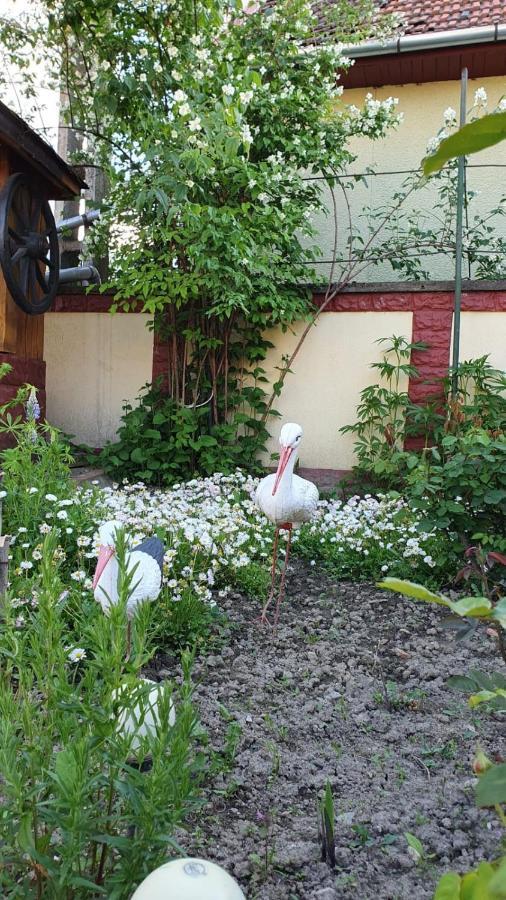 La Mosu-N Retezat Guest House Nucsoara  Екстериор снимка