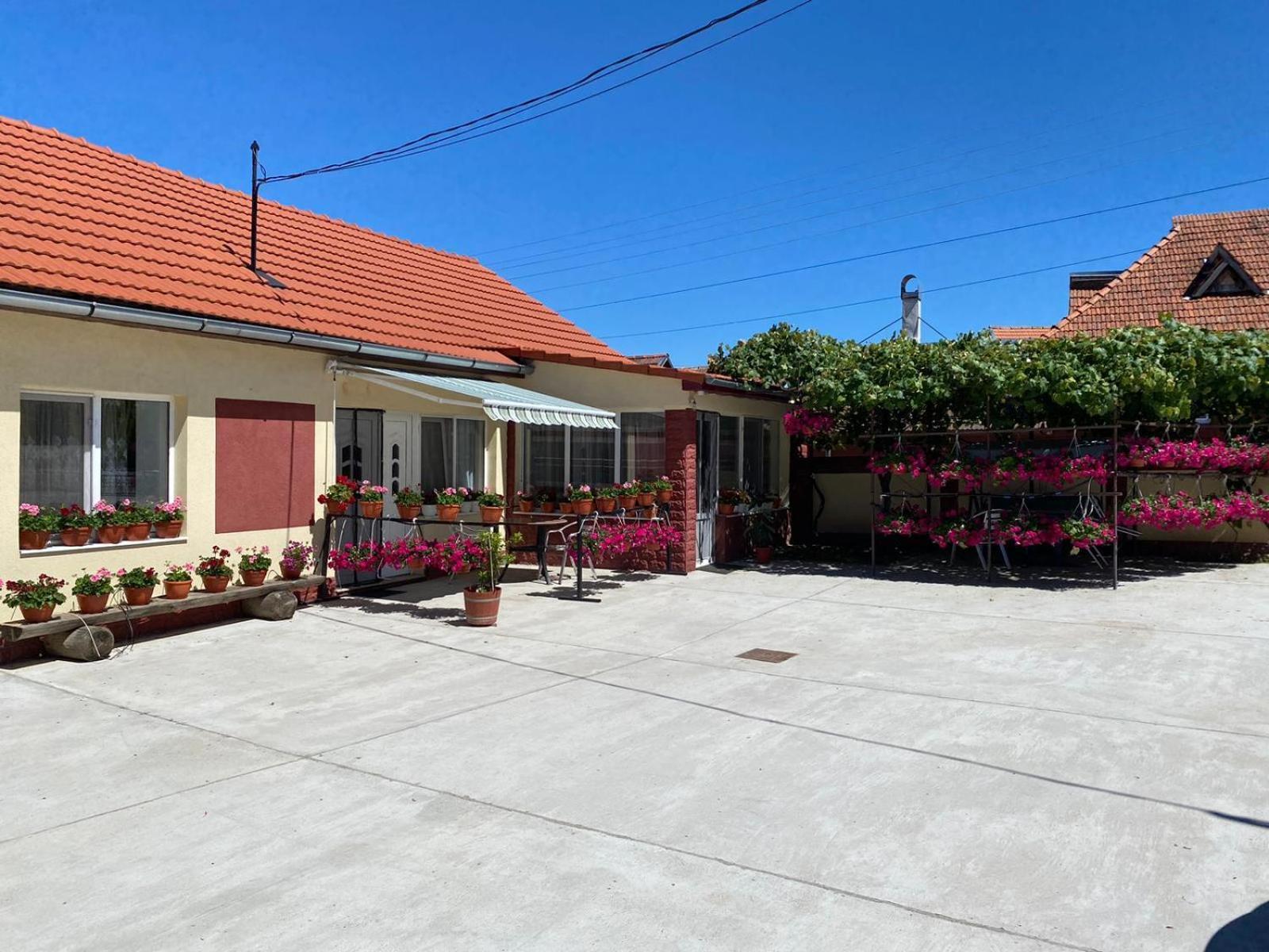 La Mosu-N Retezat Guest House Nucsoara  Екстериор снимка