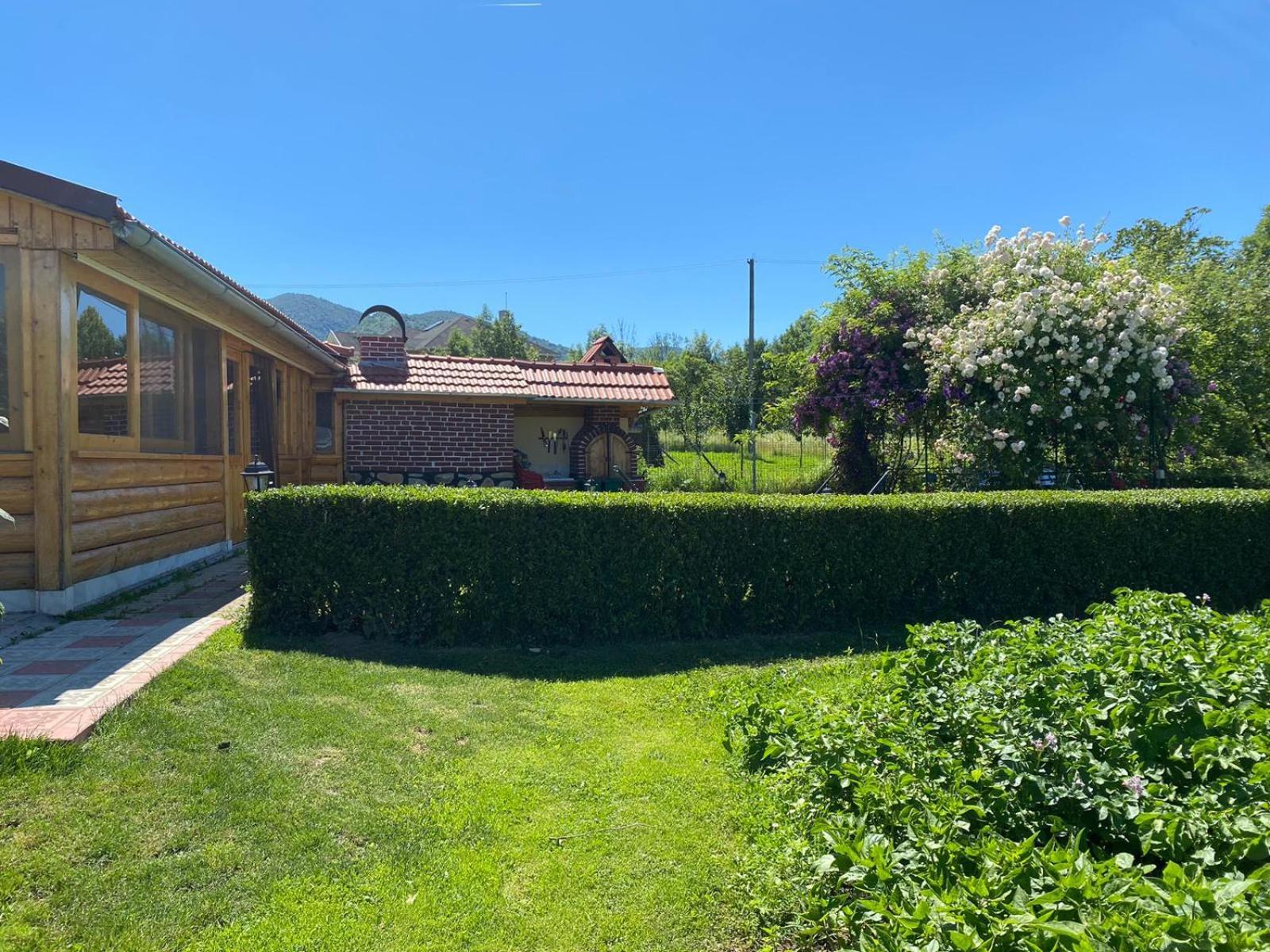 La Mosu-N Retezat Guest House Nucsoara  Екстериор снимка