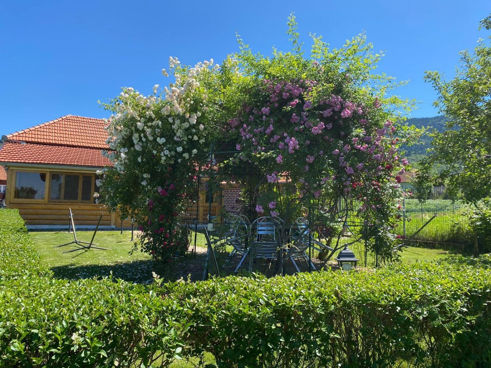 La Mosu-N Retezat Guest House Nucsoara  Екстериор снимка