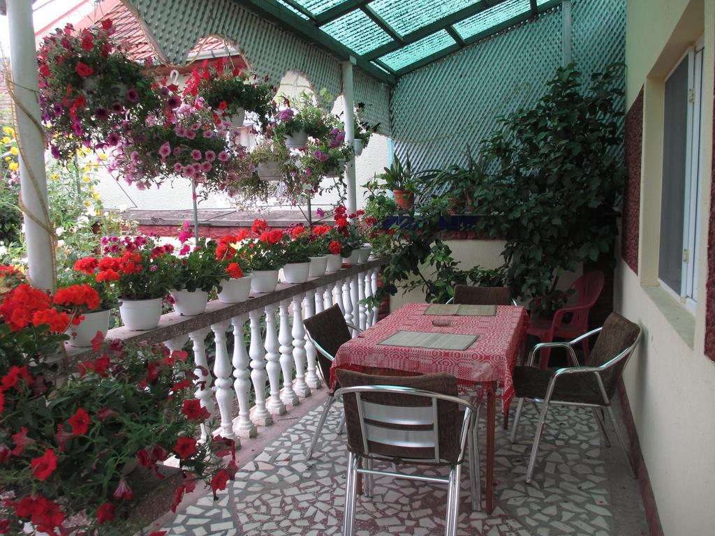 La Mosu-N Retezat Guest House Nucsoara  Екстериор снимка