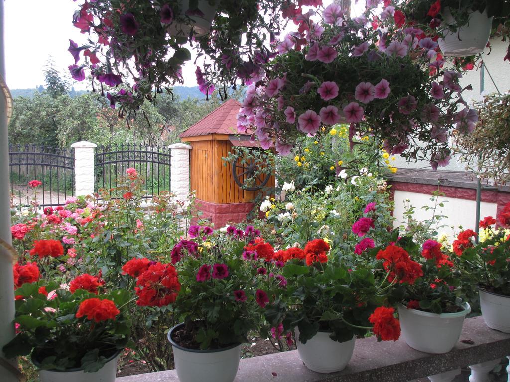 La Mosu-N Retezat Guest House Nucsoara  Екстериор снимка