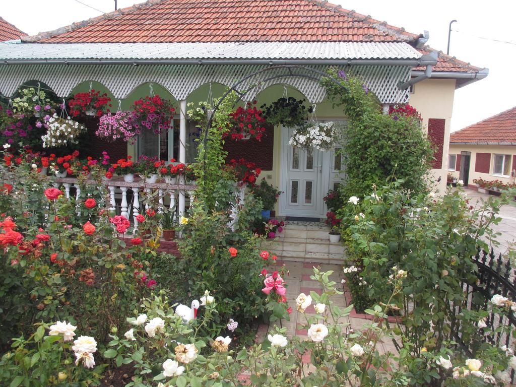La Mosu-N Retezat Guest House Nucsoara  Екстериор снимка