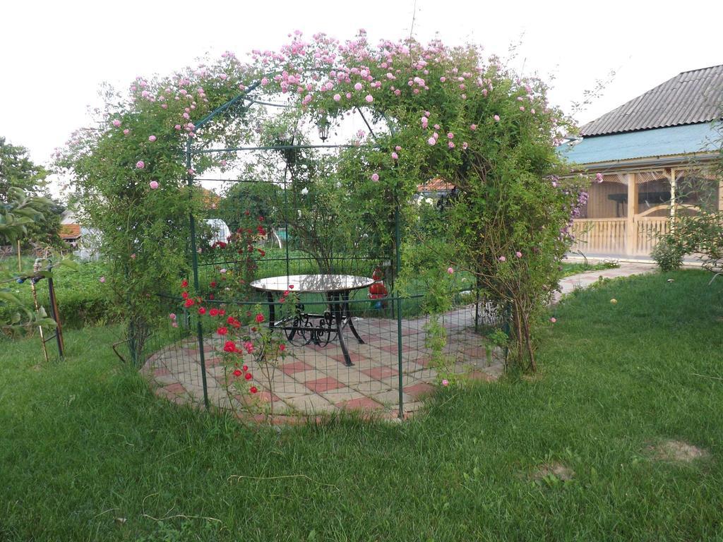 La Mosu-N Retezat Guest House Nucsoara  Екстериор снимка