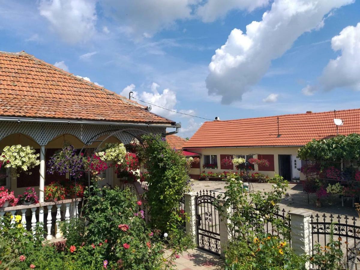La Mosu-N Retezat Guest House Nucsoara  Екстериор снимка